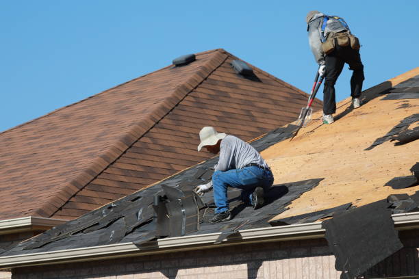 Best Roof Maintenance and Cleaning  in Untain View, MO