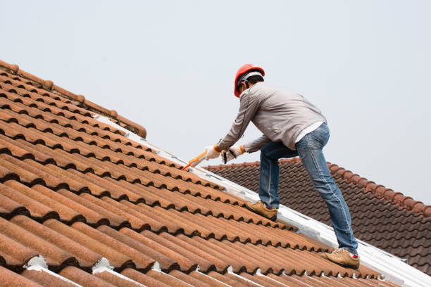 Professional  Roofing repair and installation in Mountain View, MO