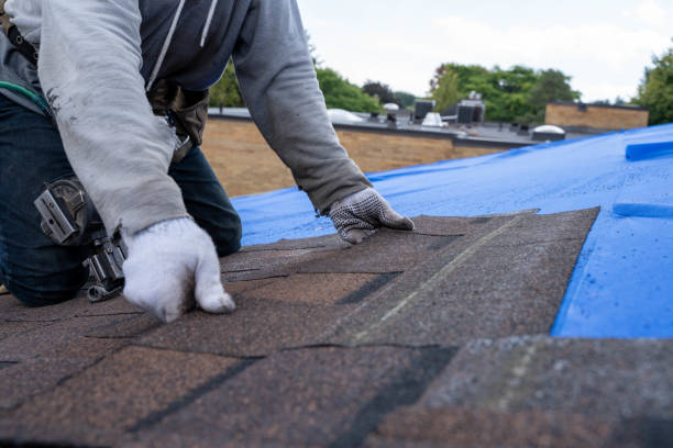 Best Solar Panel Roofing Installation  in Untain View, MO